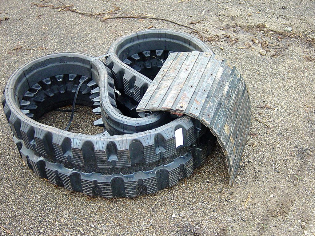 armadillo1 armadillo1